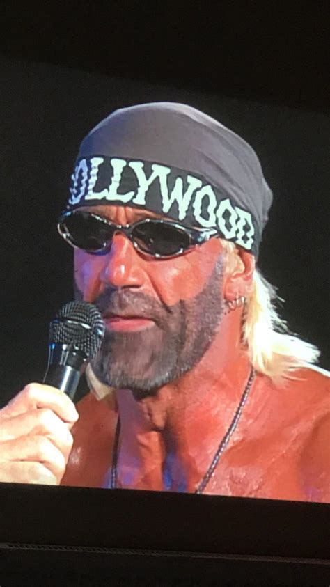 hulk hogan fake dark beard